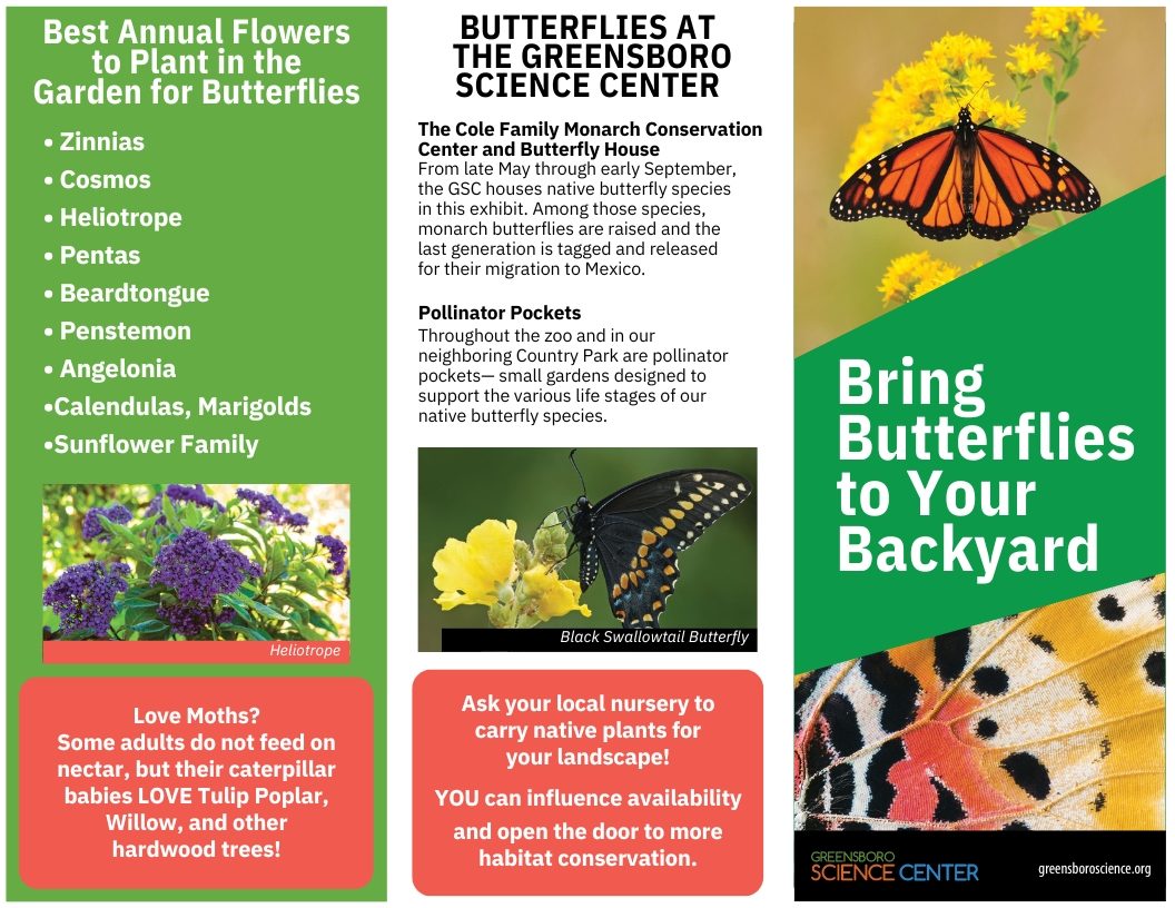 ButterflyBrochure pg1