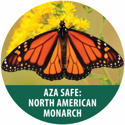 C4C-Monarch-SAFE