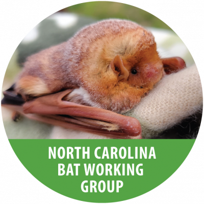 C4c-Bat-Working-Group