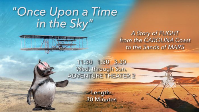 Flight Show Poster-Landscape-TIMES