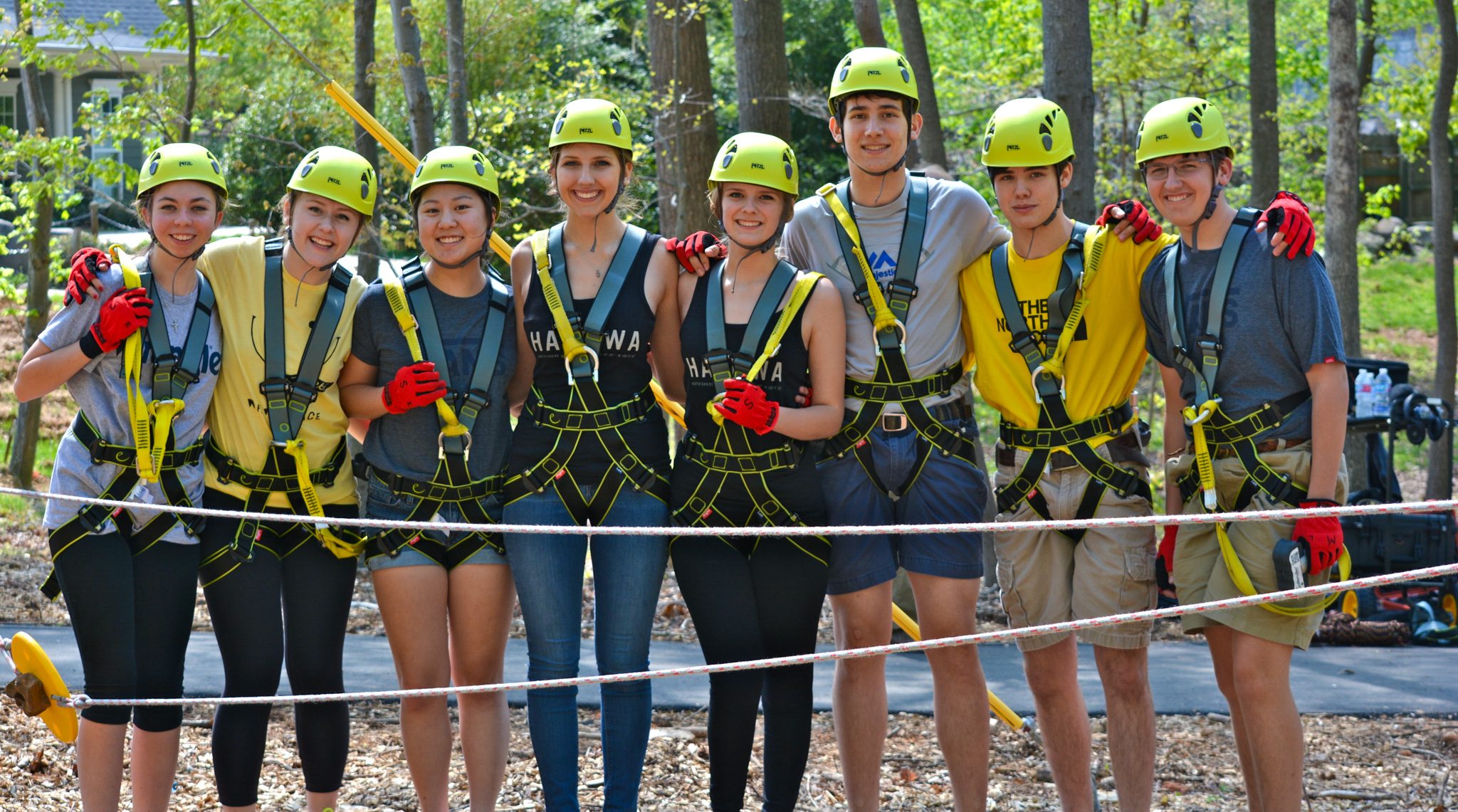 SKYWILD group