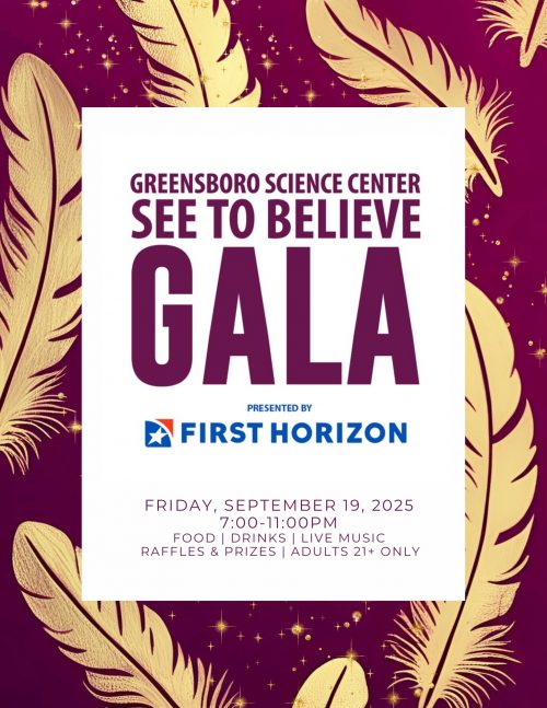Updated 2025 See to Believe Gala Packet.pdf
