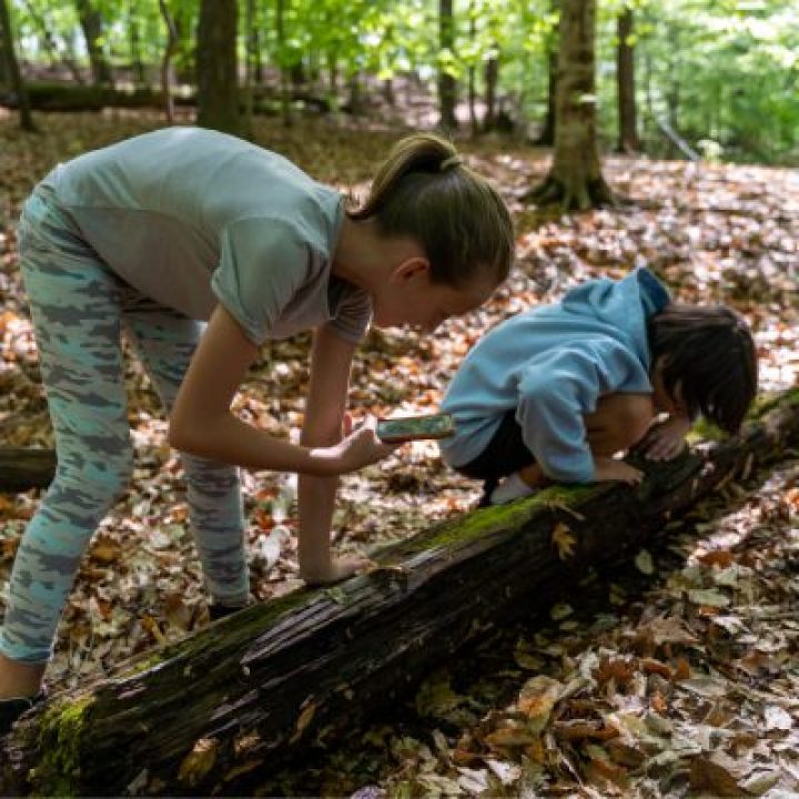 ecoEXPLORE